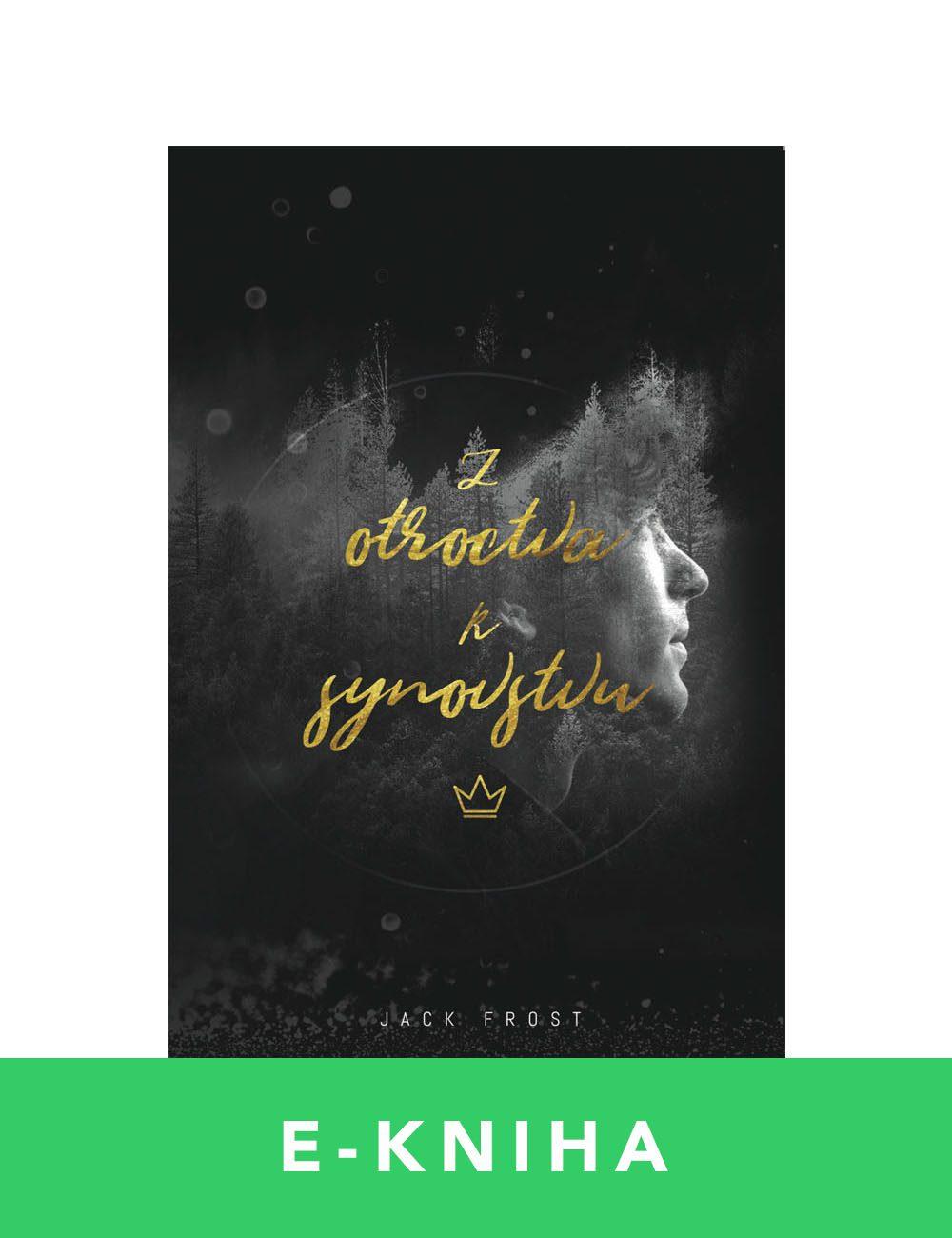 Z otroctva k synovstvu – Jack a Trisha Frost | E-kniha